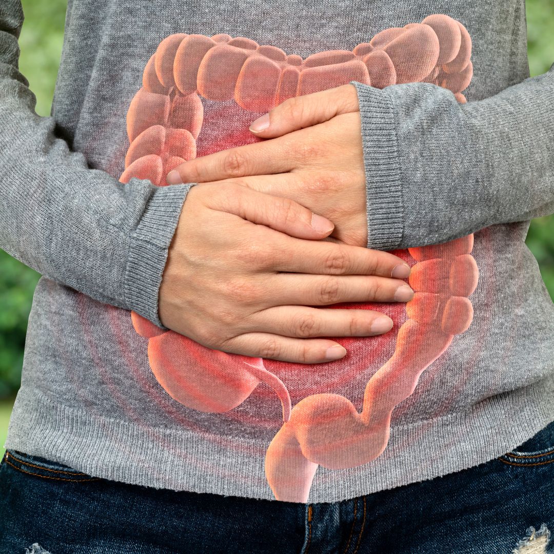 Matcha et Intestin Irritable : Peut-il aider à soulager le Syndrome de l'Intestin Irritable (SII) ? Image